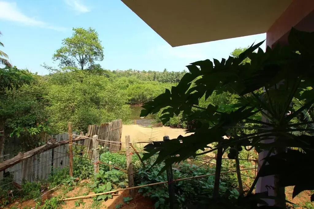 Photo of Outdoor in Agonda