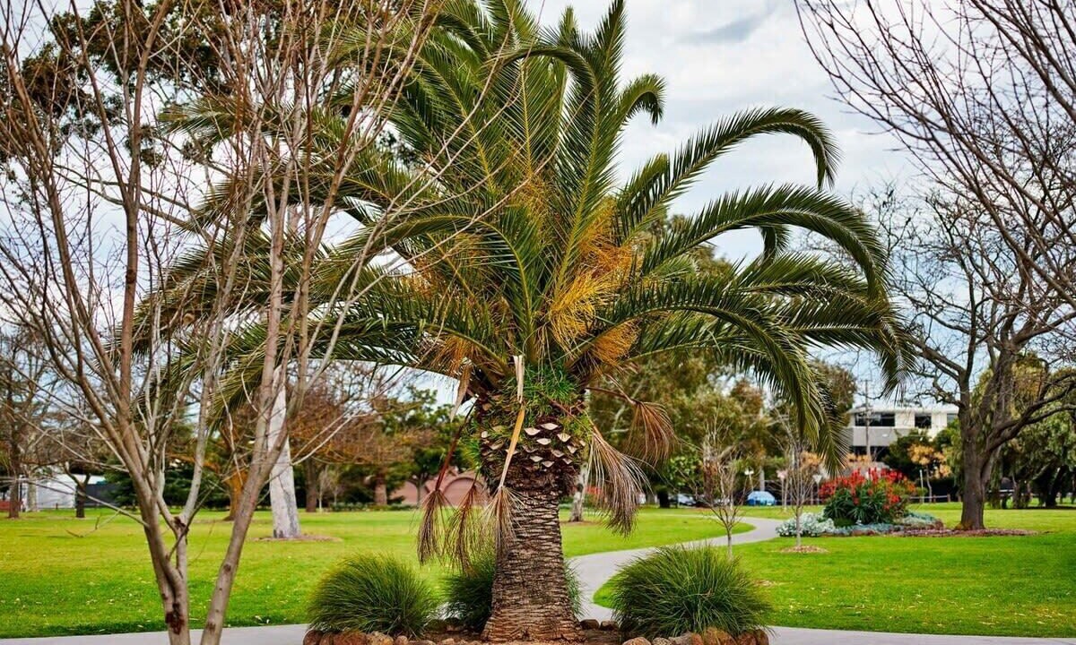 Photo of Outdoor in Moonee Ponds