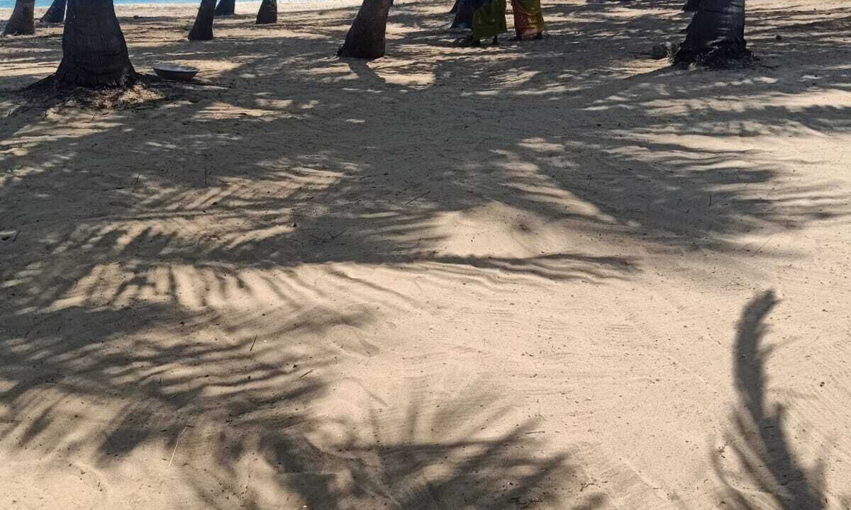 Photo of Others in Kalapettai