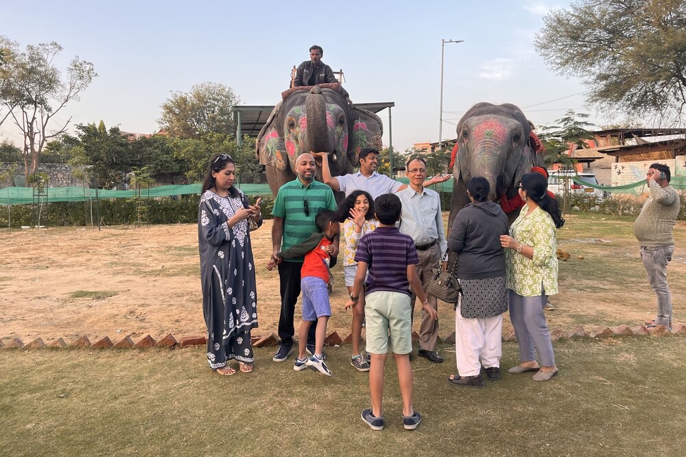 Photo of Outdoor in Pink City
