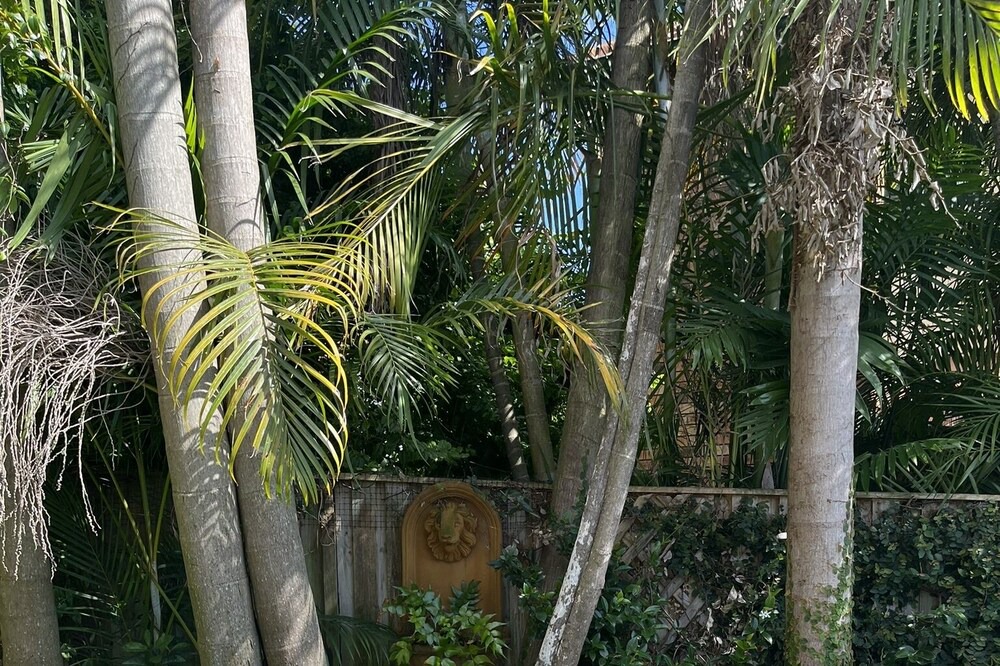 Photo of Outdoor in Cremorne
