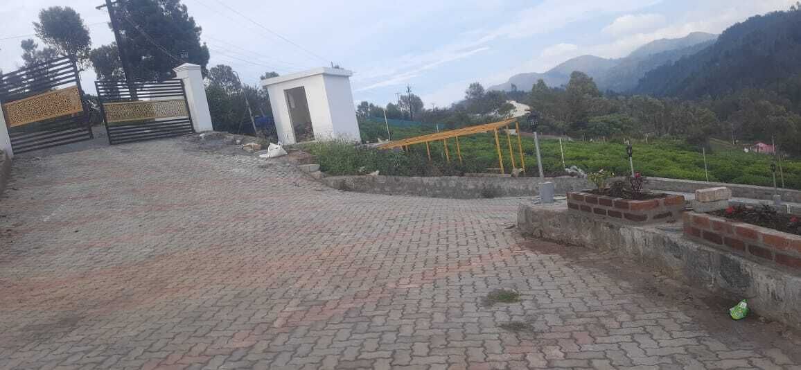 Photo of Outdoor in Wellington