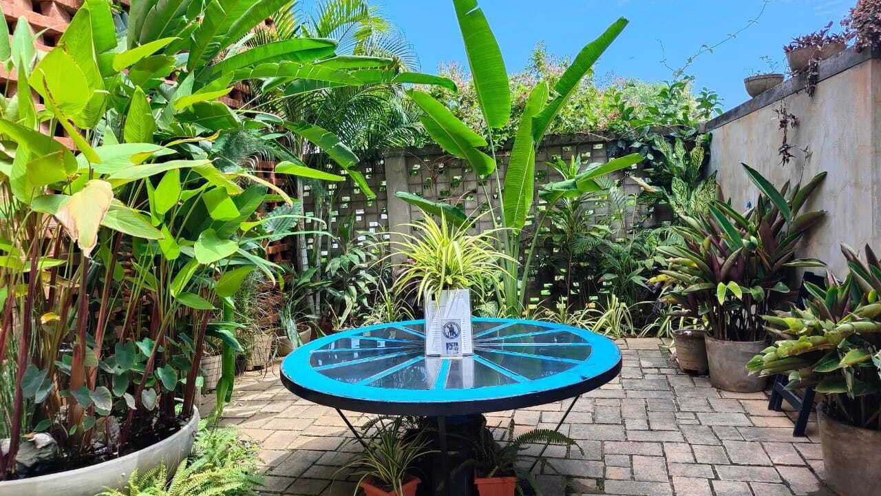 Photo of Outdoor in Kalapettai