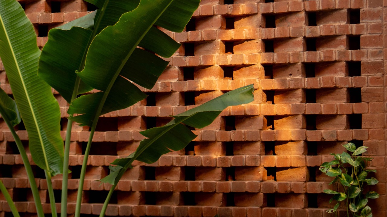 Photo of Outdoor in Kalapettai