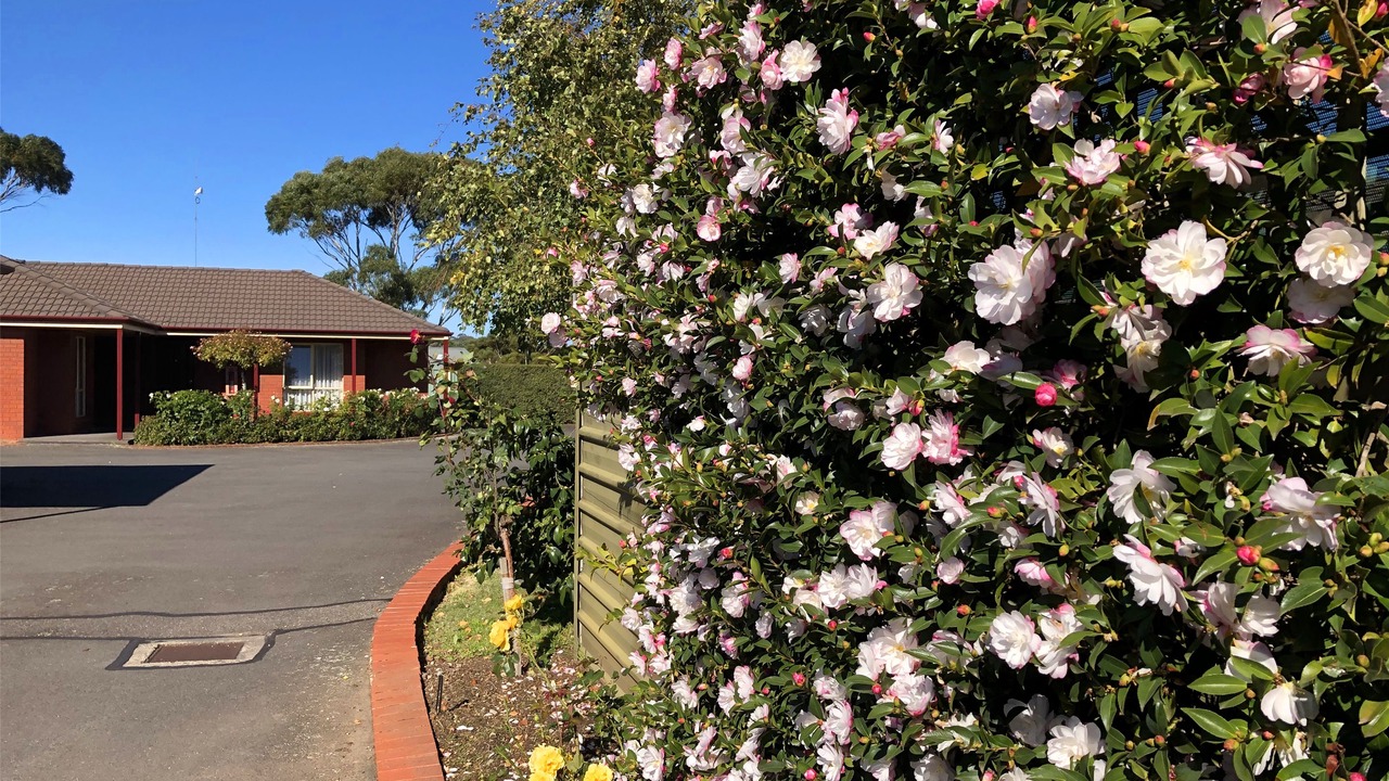 Photo of Outdoor in Ballarat East