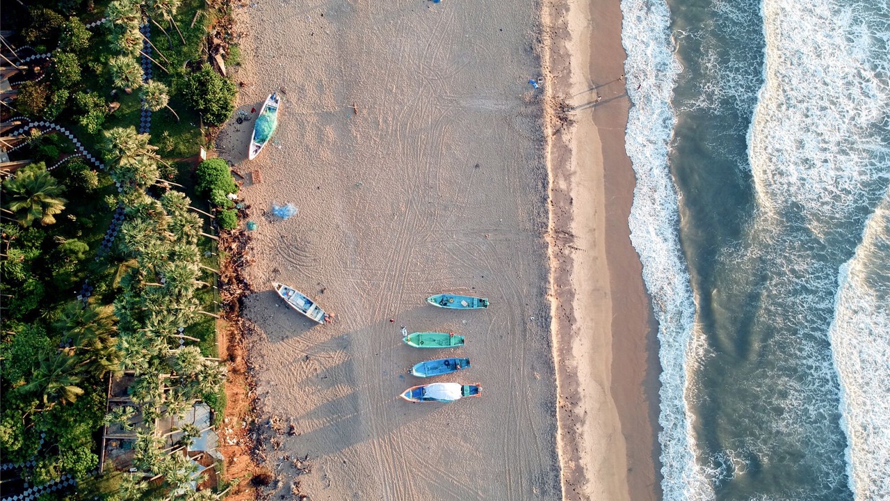 Photo of Outdoor in Auroville
