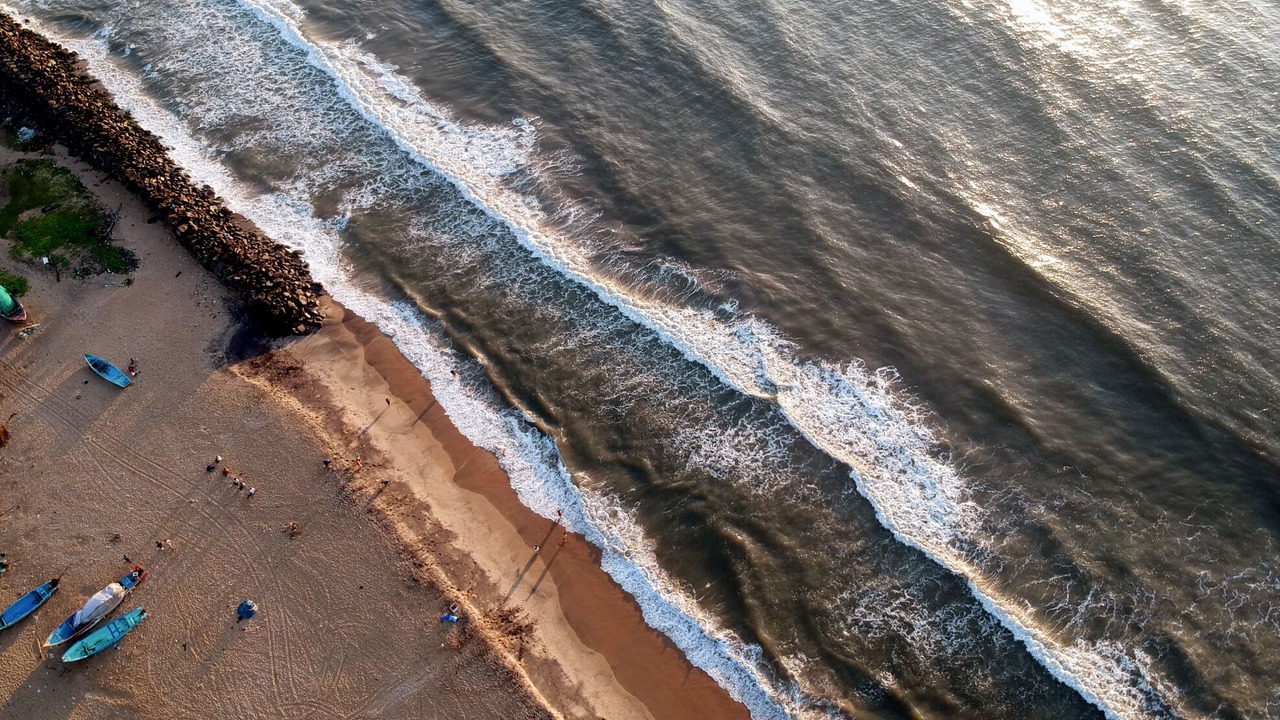 Photo of Outdoor in Auroville