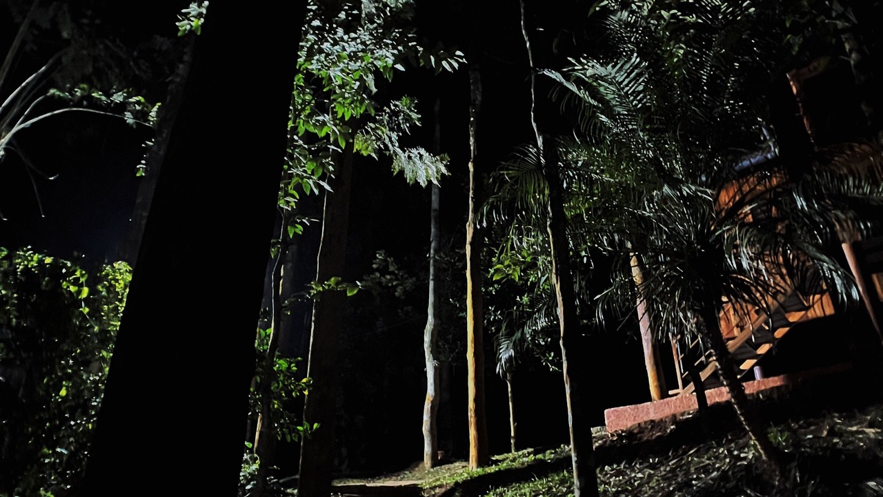 Photo of Outdoor in Kalpetta