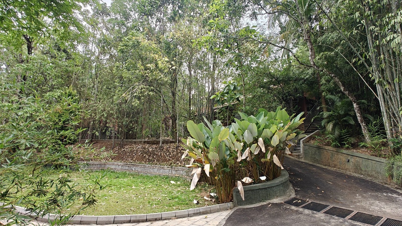 Photo of Outdoor in Sulthan Bathery