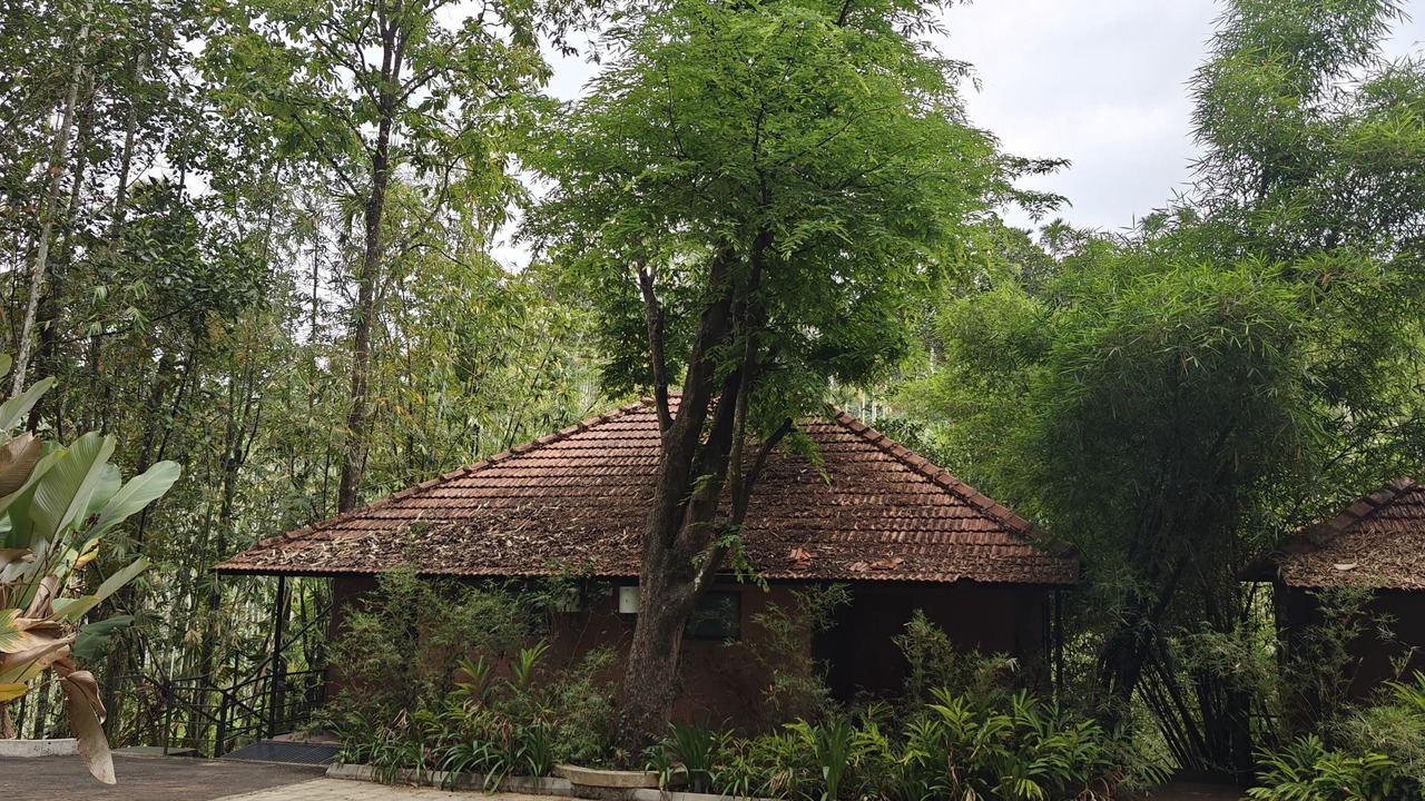 Photo of Outdoor in Sulthan Bathery