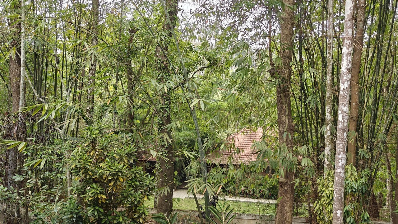 Photo of Outdoor in Sulthan Bathery