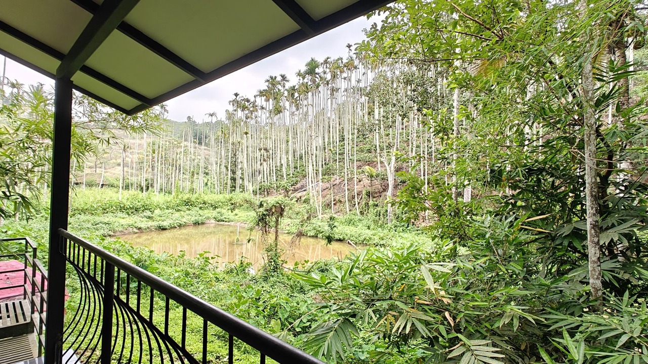 Photo of Outdoor in Sulthan Bathery