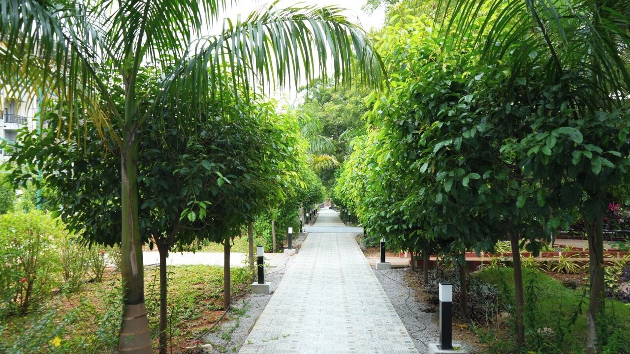 Photo of Outdoor in Chevella