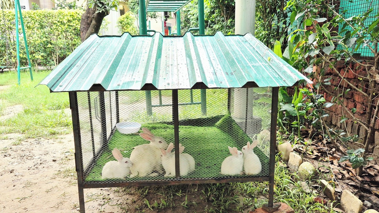 Photo of Outdoor in Dhikuli