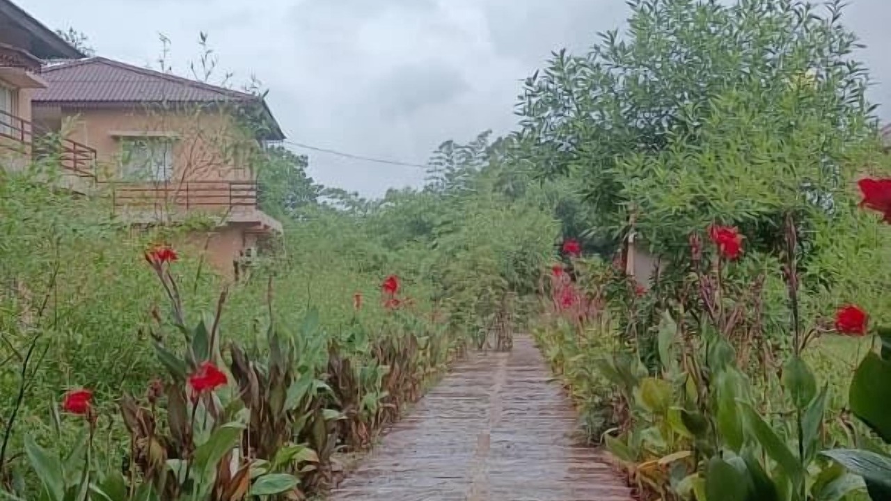 Photo of Outdoor in Avarghani