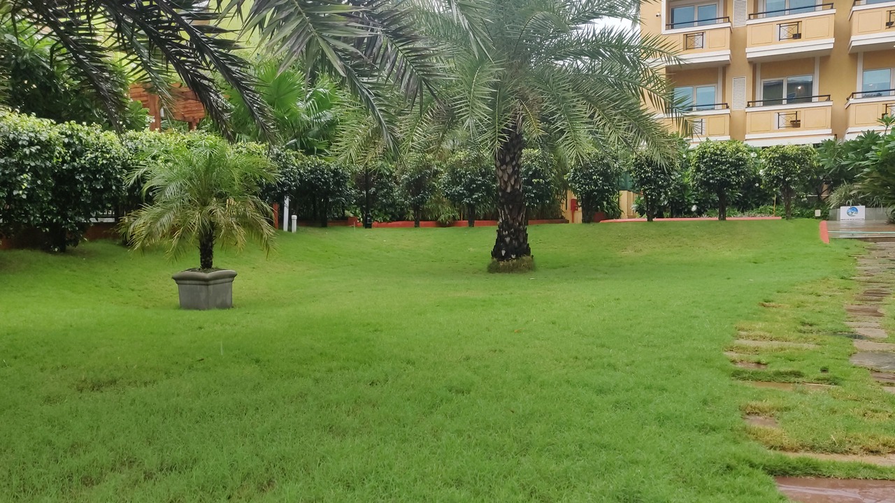 Photo of Outdoor in Calangute