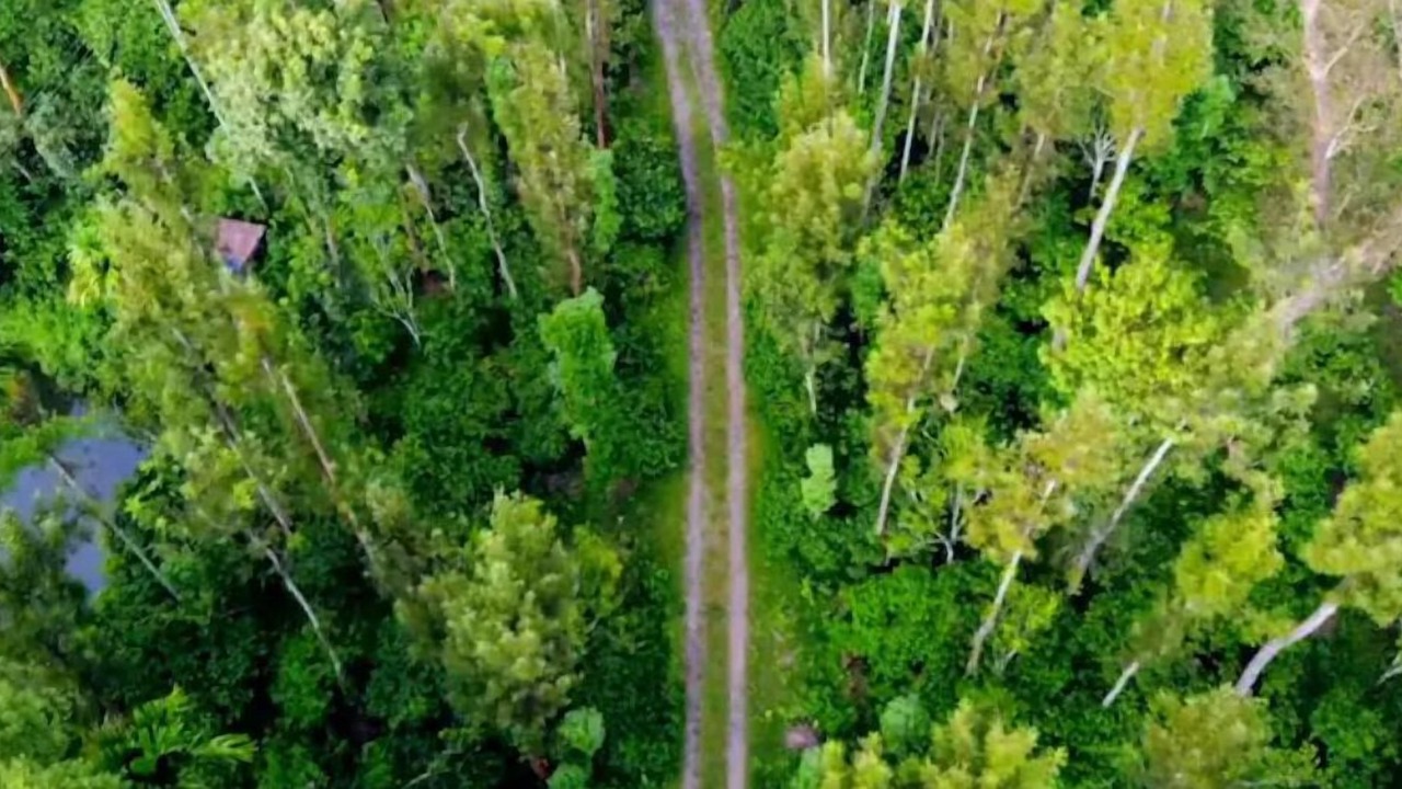Photo of Outdoor in Tholpetty