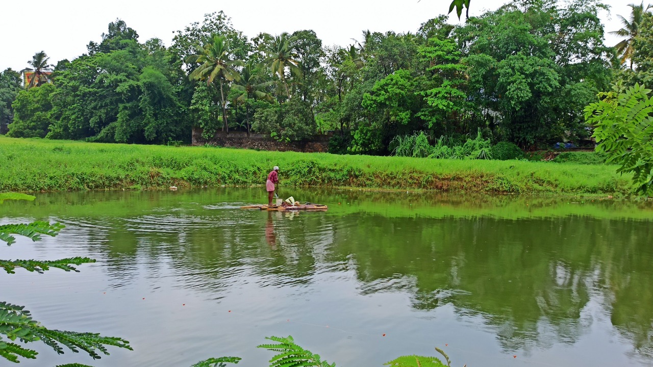 Photo of Outdoor in Nedumbassery