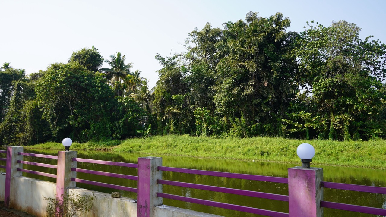 Photo of Outdoor in Nedumbassery