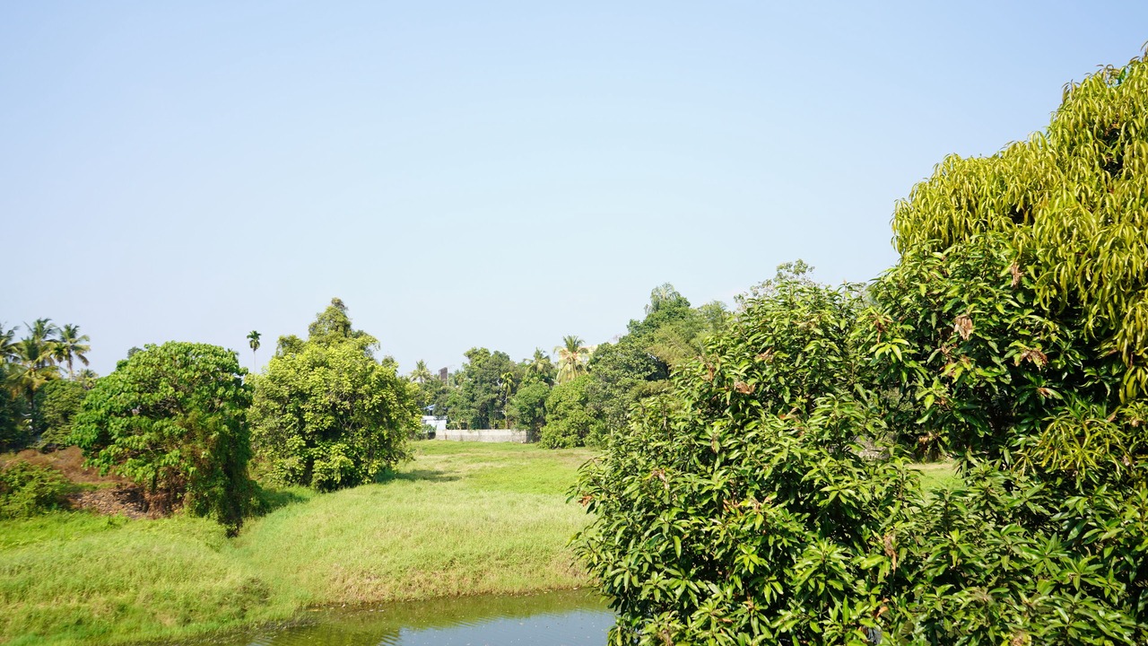 Photo of Others in Nedumbassery