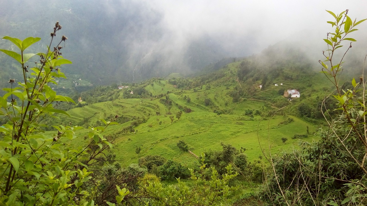 Photo of Outdoor in Kaul