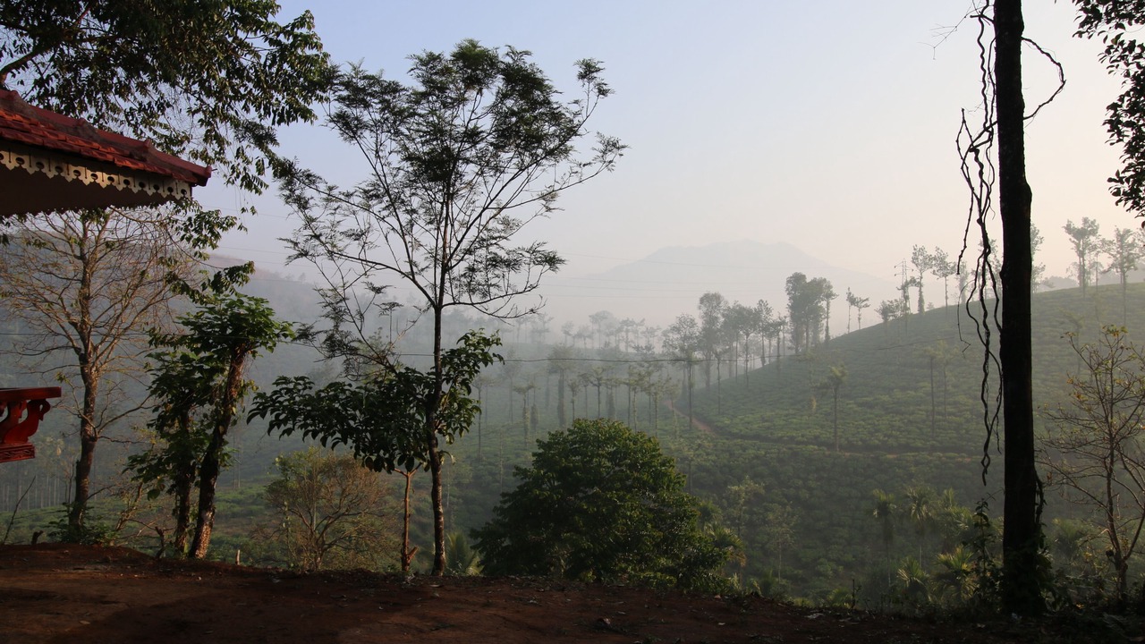 Photo of Outdoor in Kalpetta