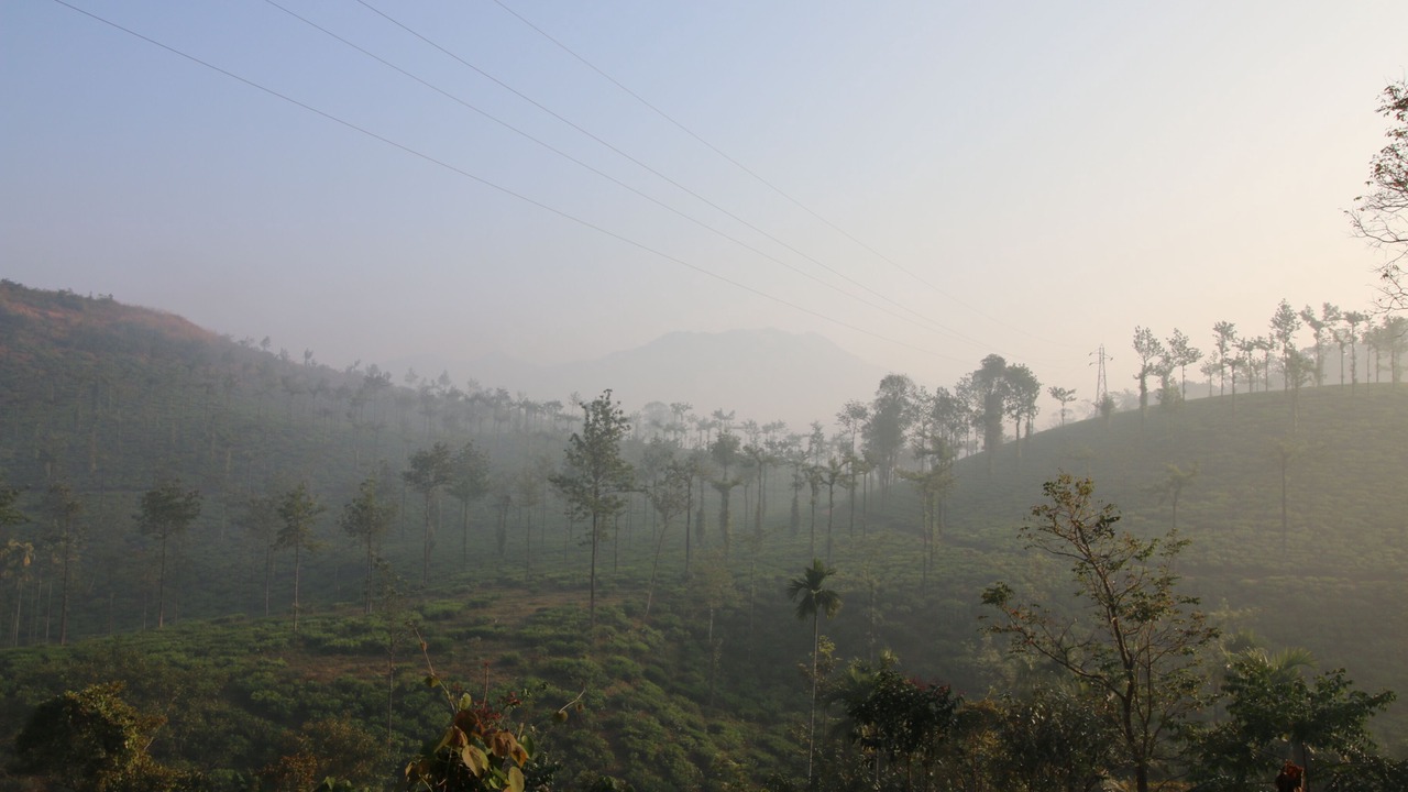 Photo of Others in Kalpetta