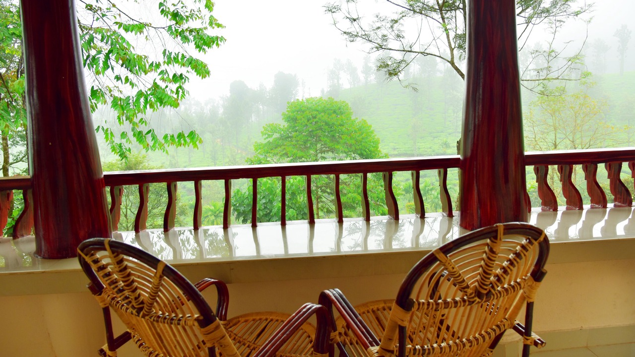 Photo of Outdoor in Kalpetta