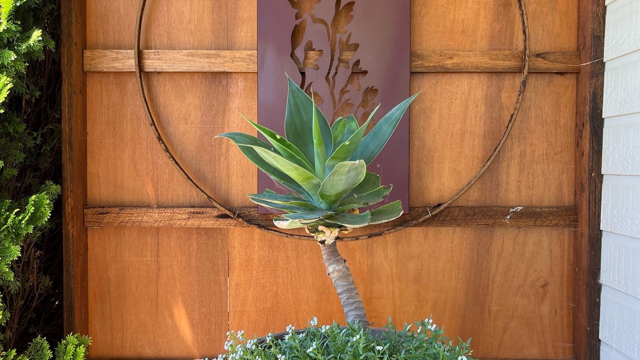 Photo of Outdoor in Trentham