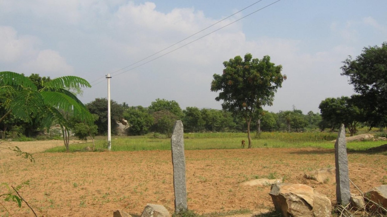 Photo of Outdoor in Tiruvannamalai