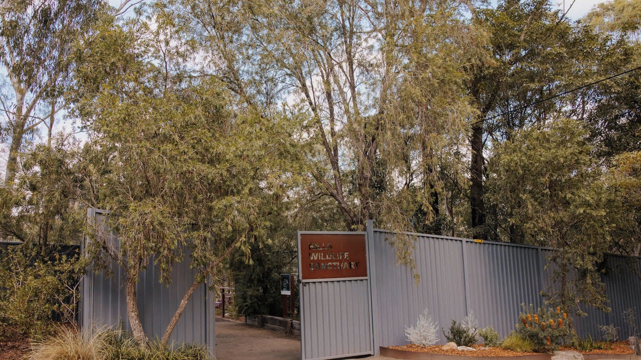 Photo of Others in Dural