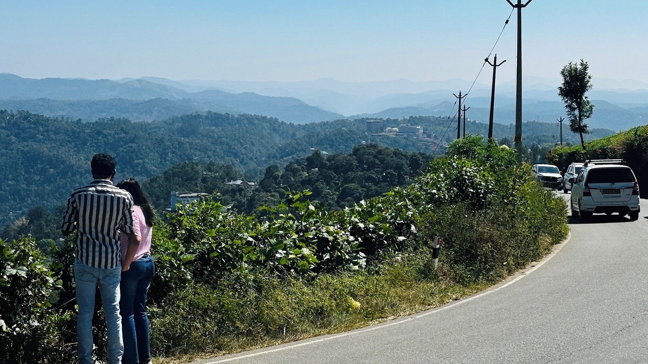 Photo of Others in Todupulai