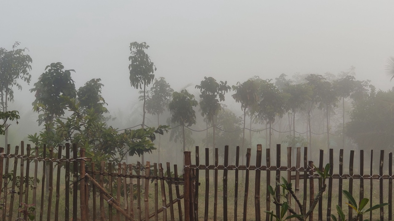 Photo of Outdoor in Nanjangud