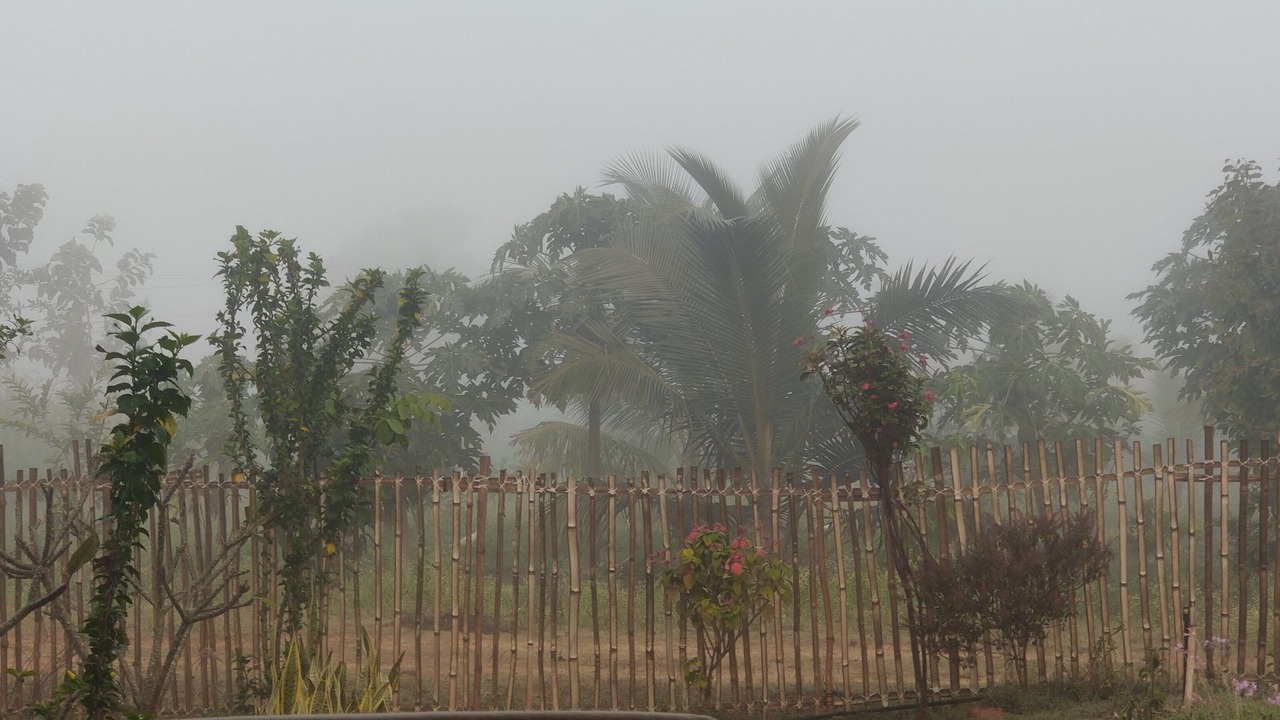 Photo of Outdoor in Nanjangud