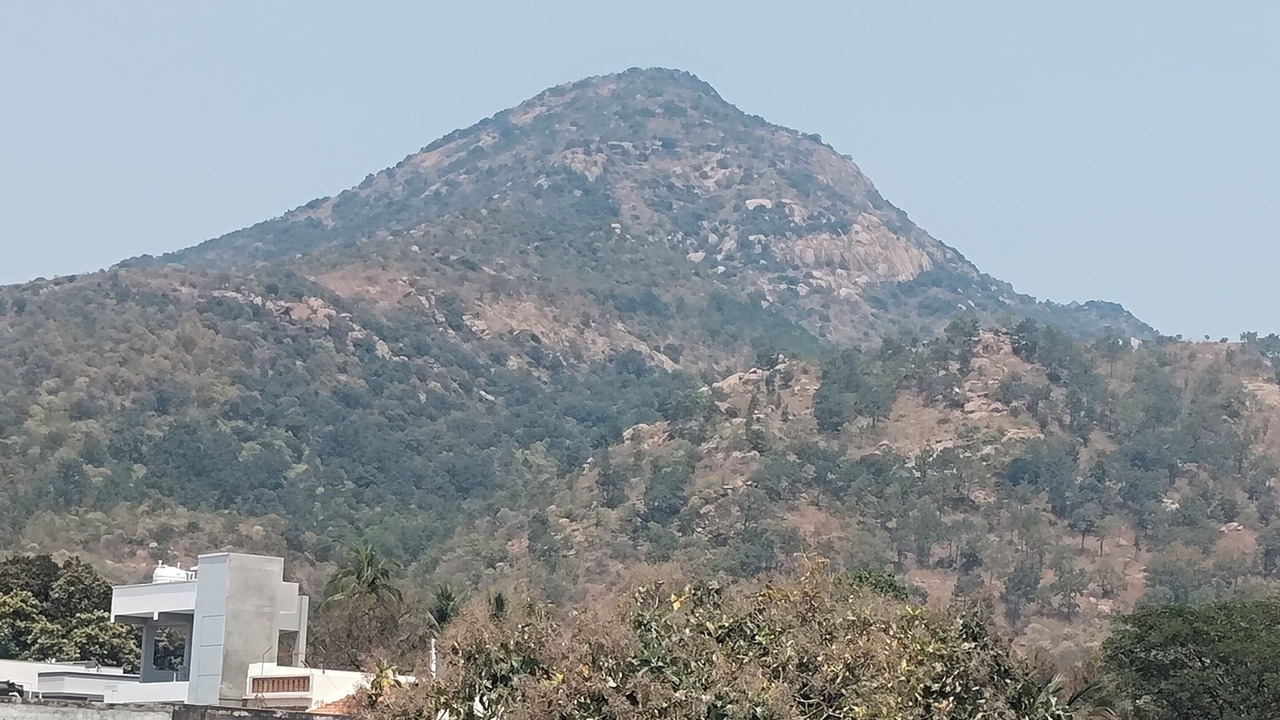 Photo of Others in Tiruvannamalai