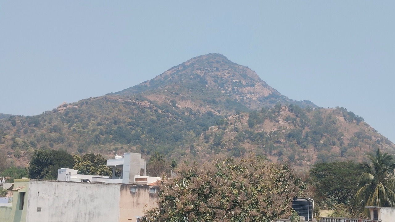 Photo of Others in Tiruvannamalai