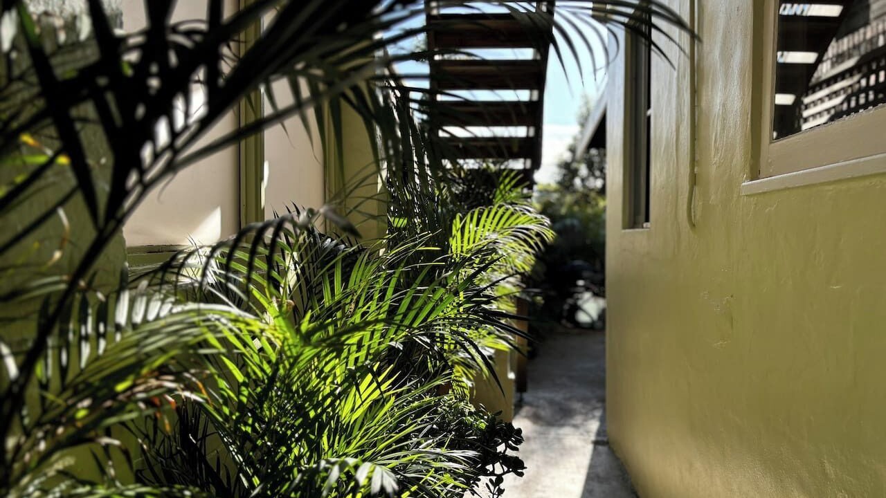 Photo of Outdoor in Balmain