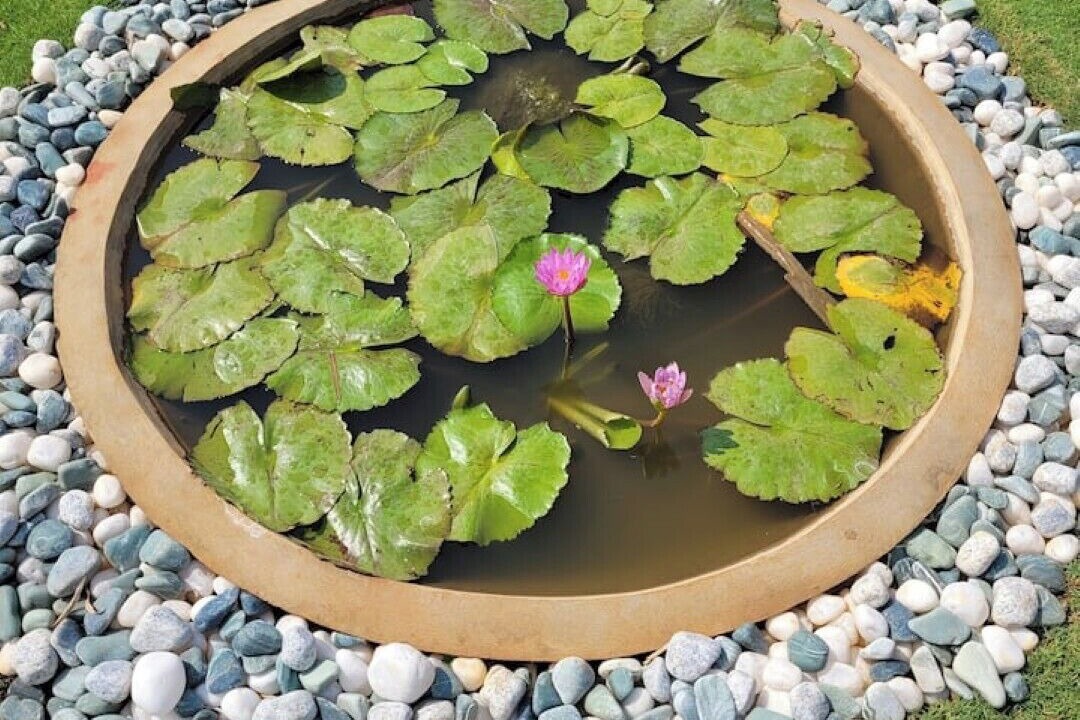 Photo of Outdoor in Doddaballapur
