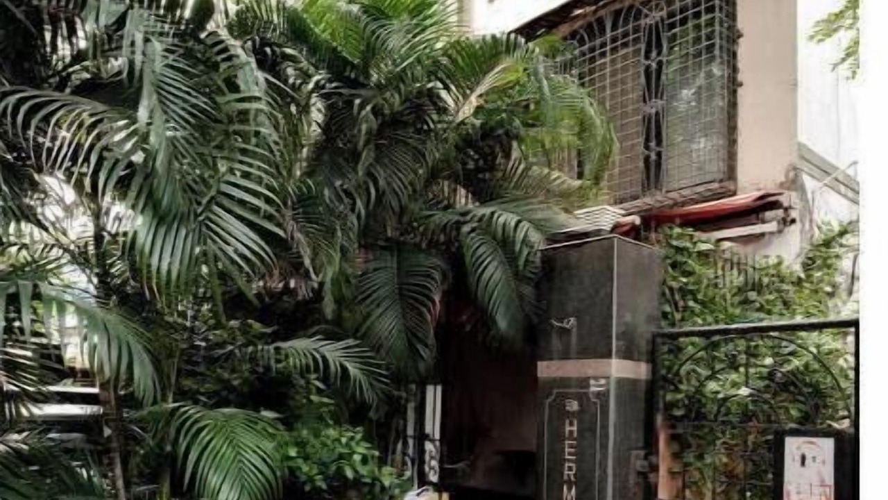 Photo of Outdoor in Pali Hill