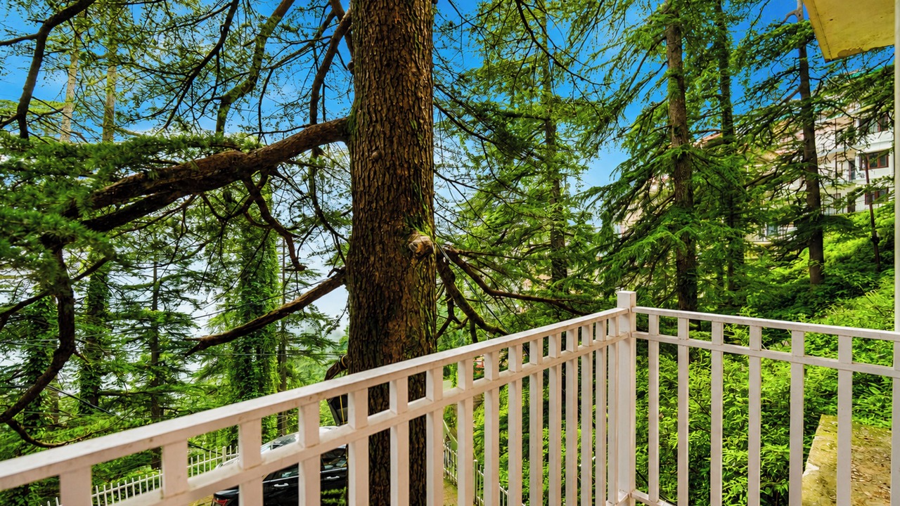 Photo of Outdoor in Shimla