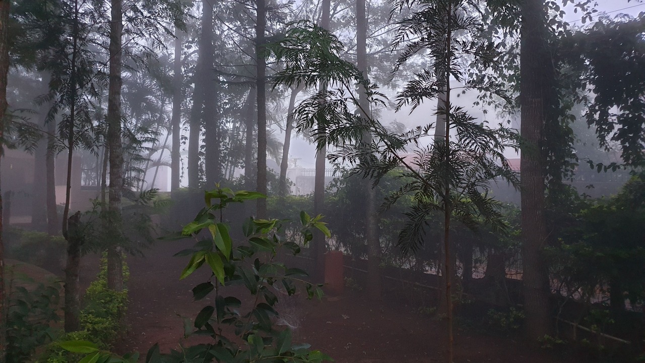 Photo of Outdoor in Yelagiri