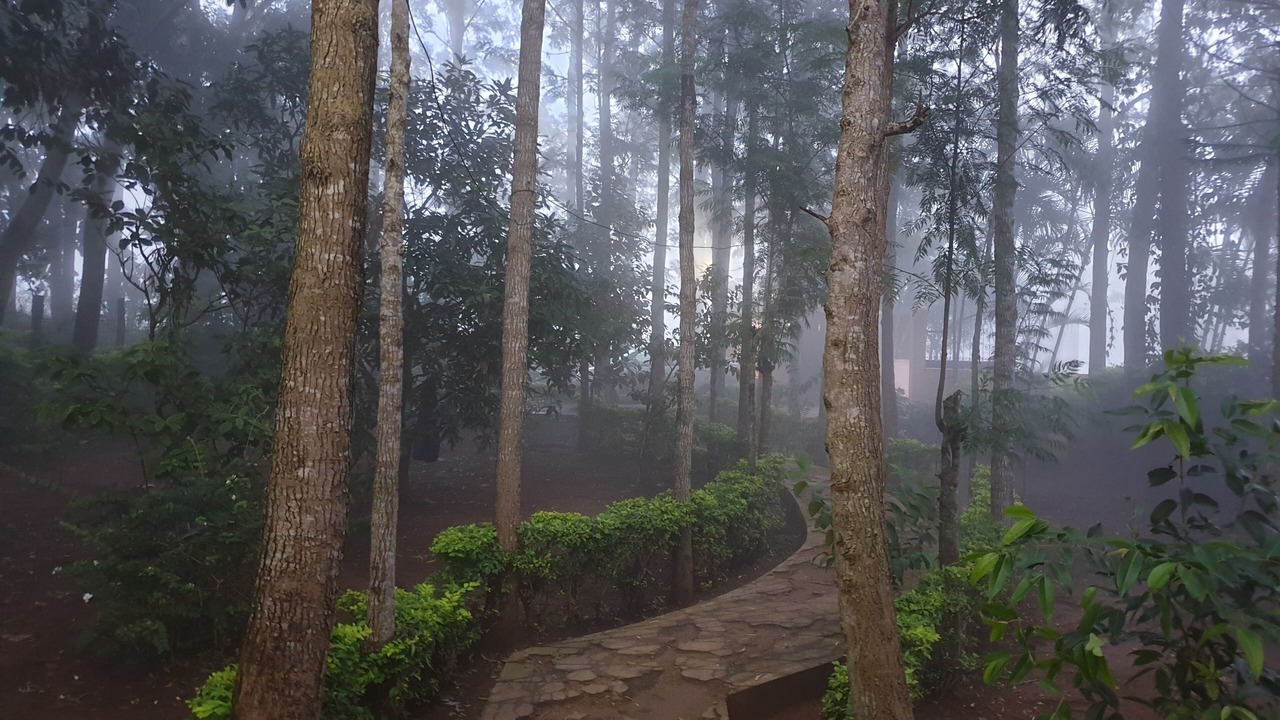 Photo of Outdoor in Yelagiri