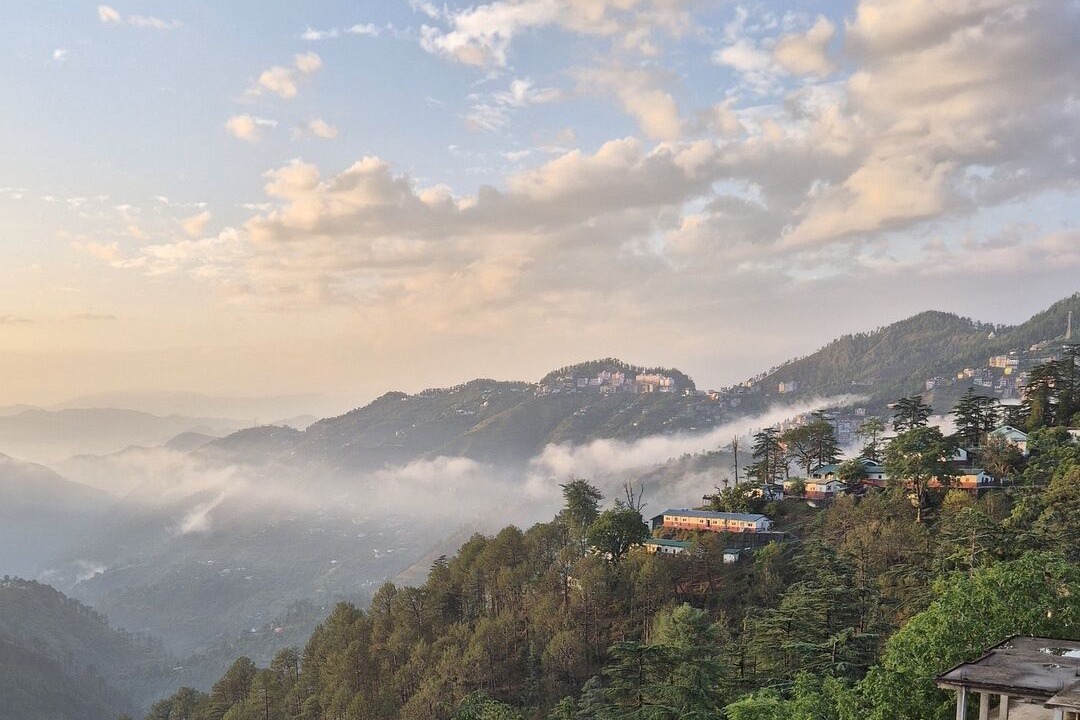 Photo of Others in Shimla