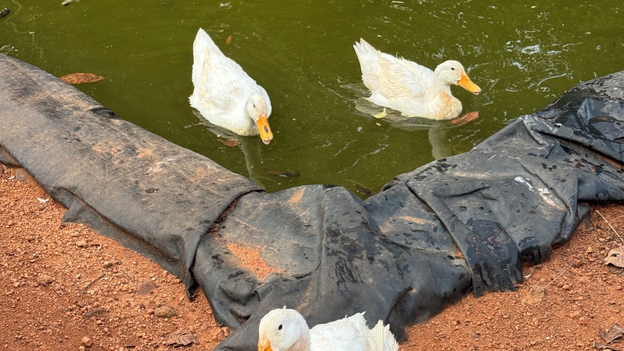Photo of Others in Mysore