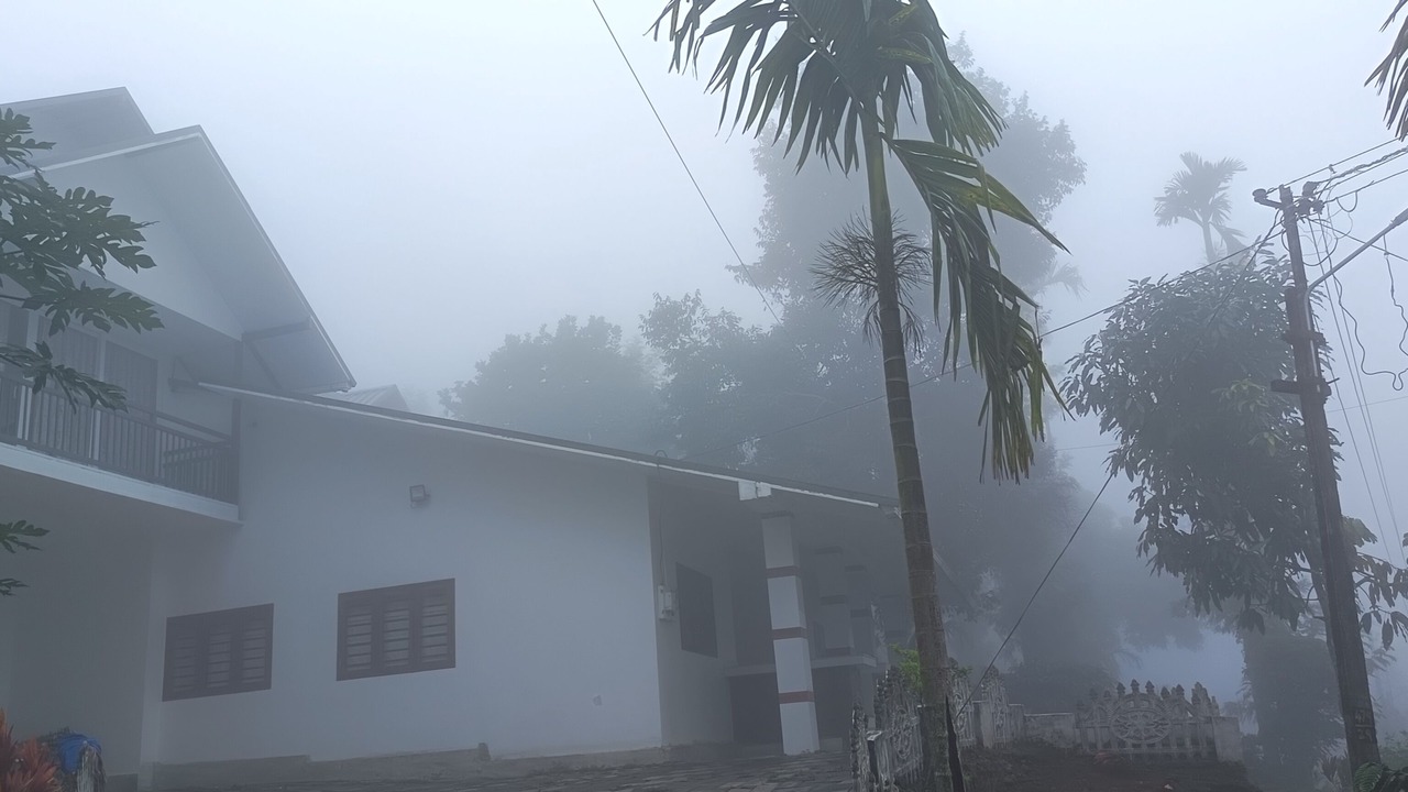 Photo of Outdoor in Naduvattam
