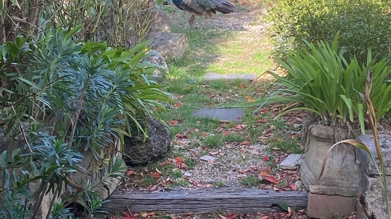 Photo of Outdoor in Mount Alexander Shire