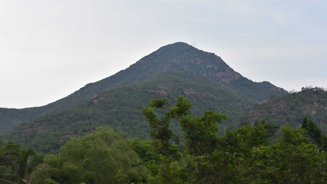 Photo of Others in Tiruvannamalai