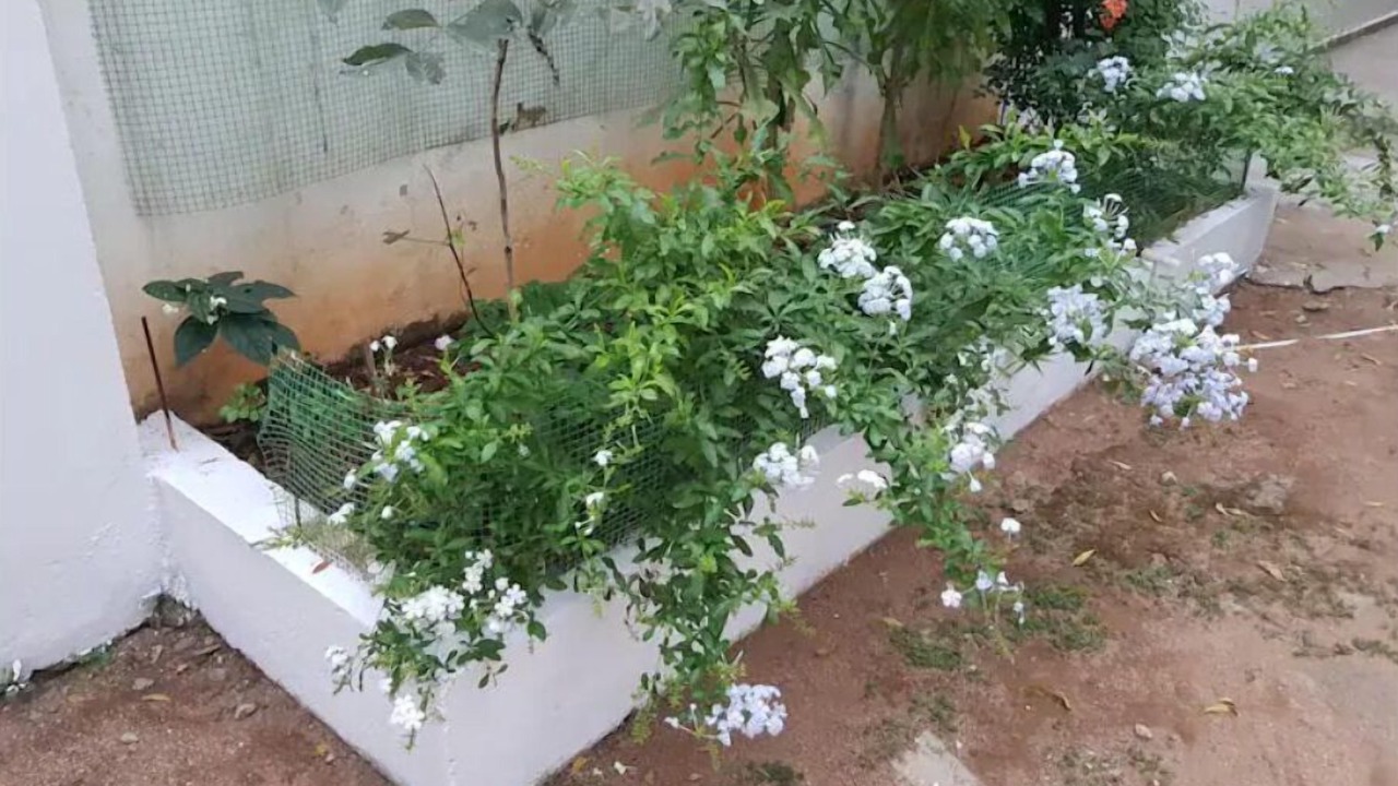 Photo of Outdoor in Somajiguda