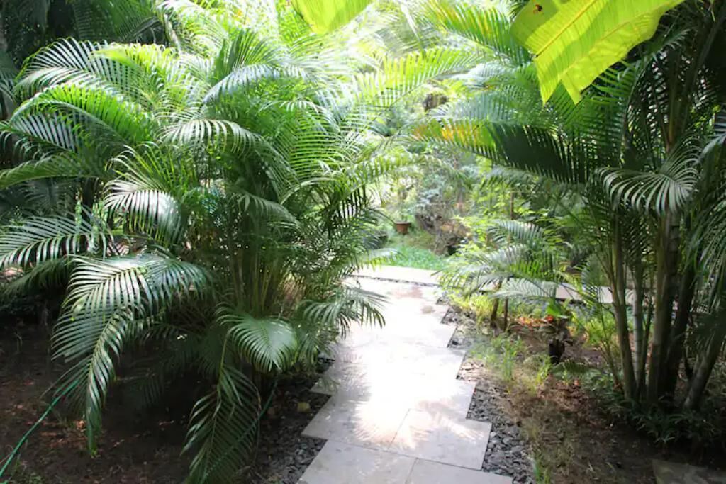 Photo of Outdoor in Morjim