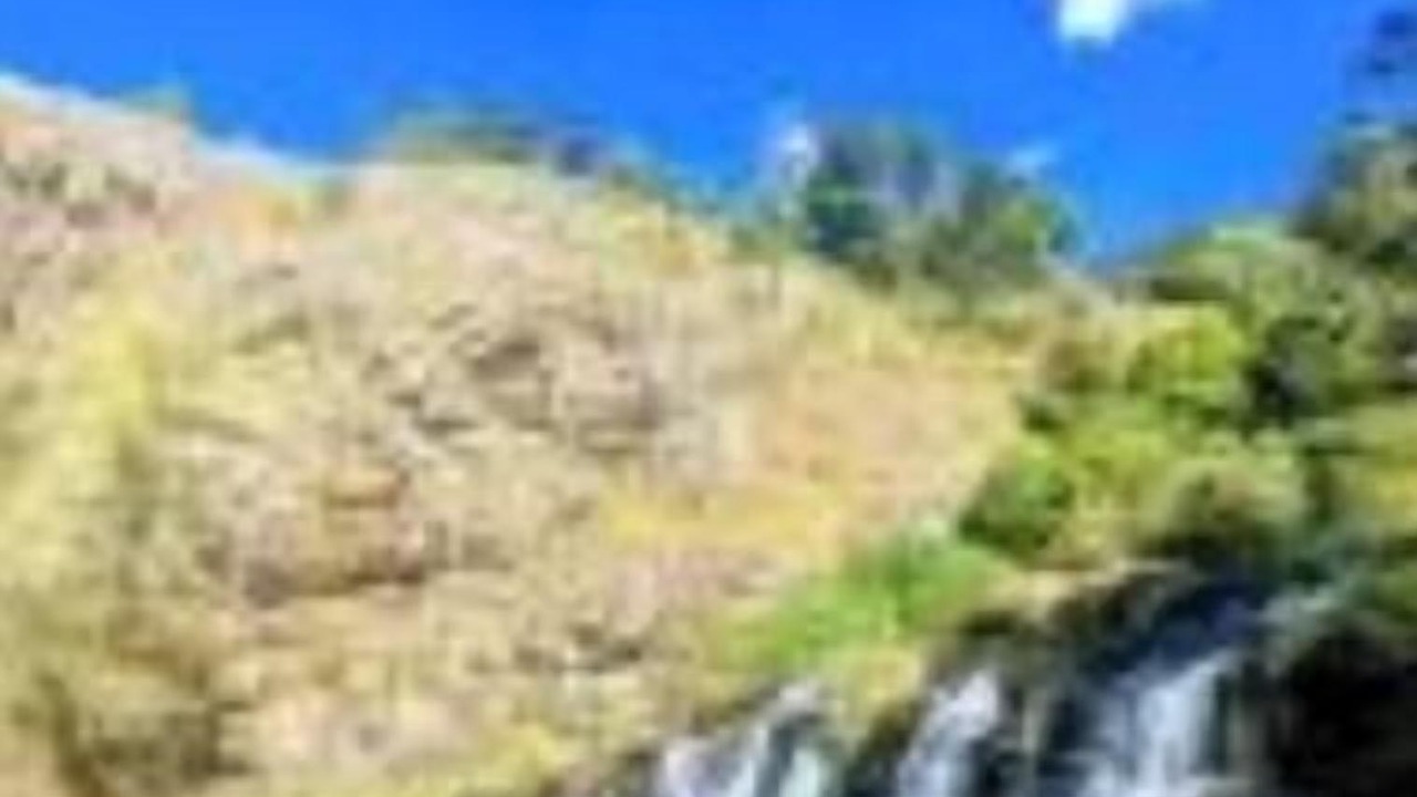 Photo of Others in Kotagiri